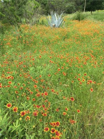 500 Owl Hollow Road San Marcos TX 78666