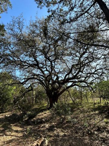 500 Owl Hollow Road San Marcos TX 78666