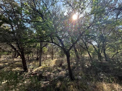 500 Owl Hollow Road San Marcos TX 78666