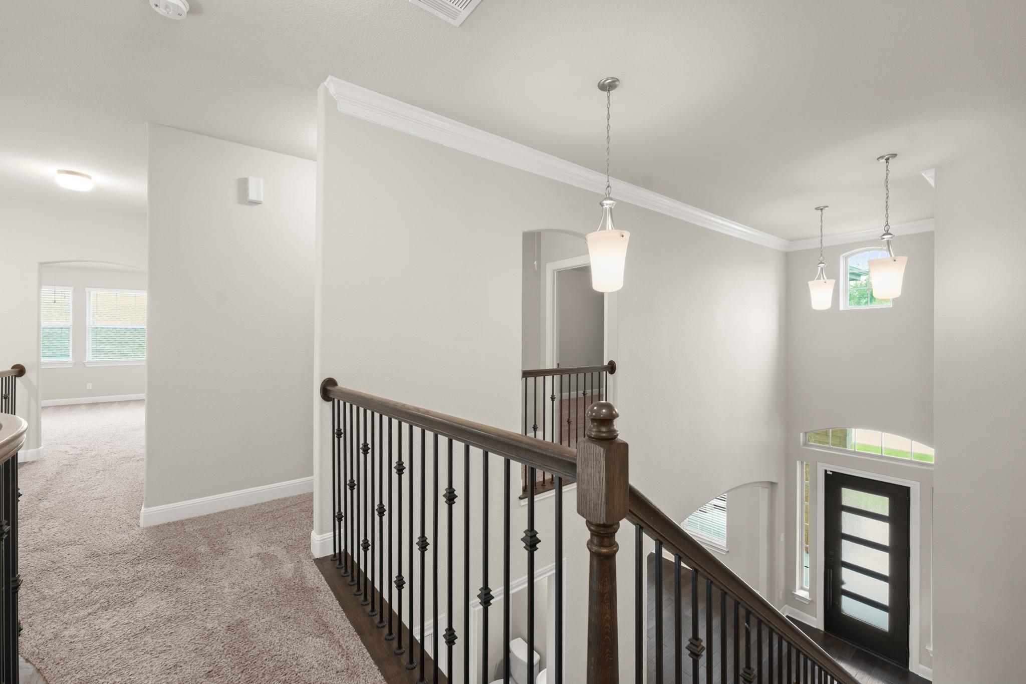 442 Jacksdaw Drive Austin TX 78737