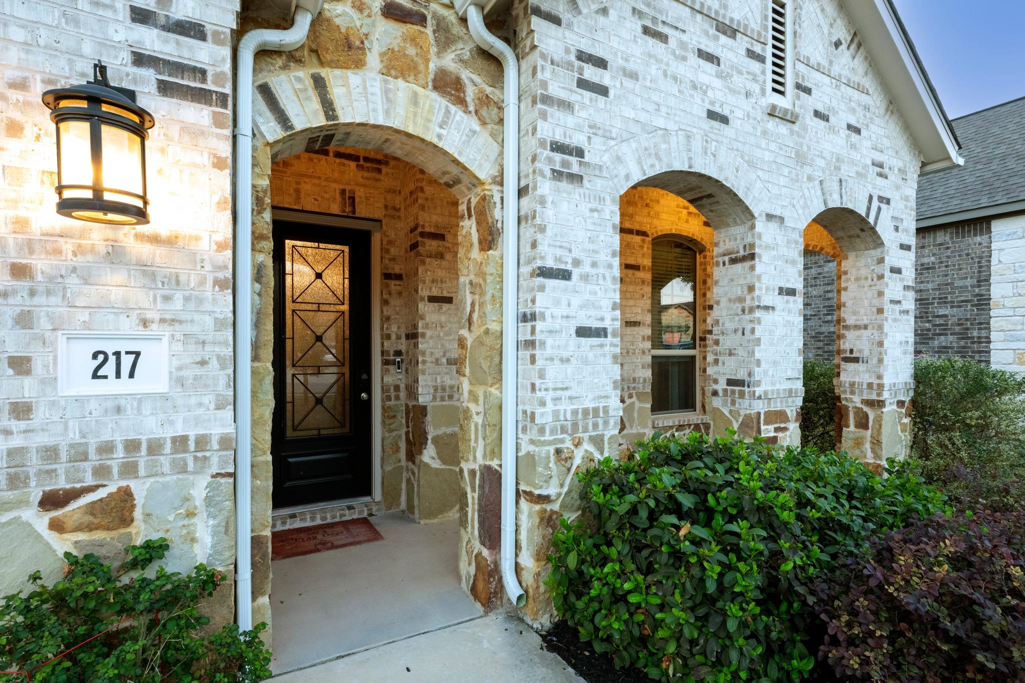 217 Mineral River Loop Kyle TX 78640