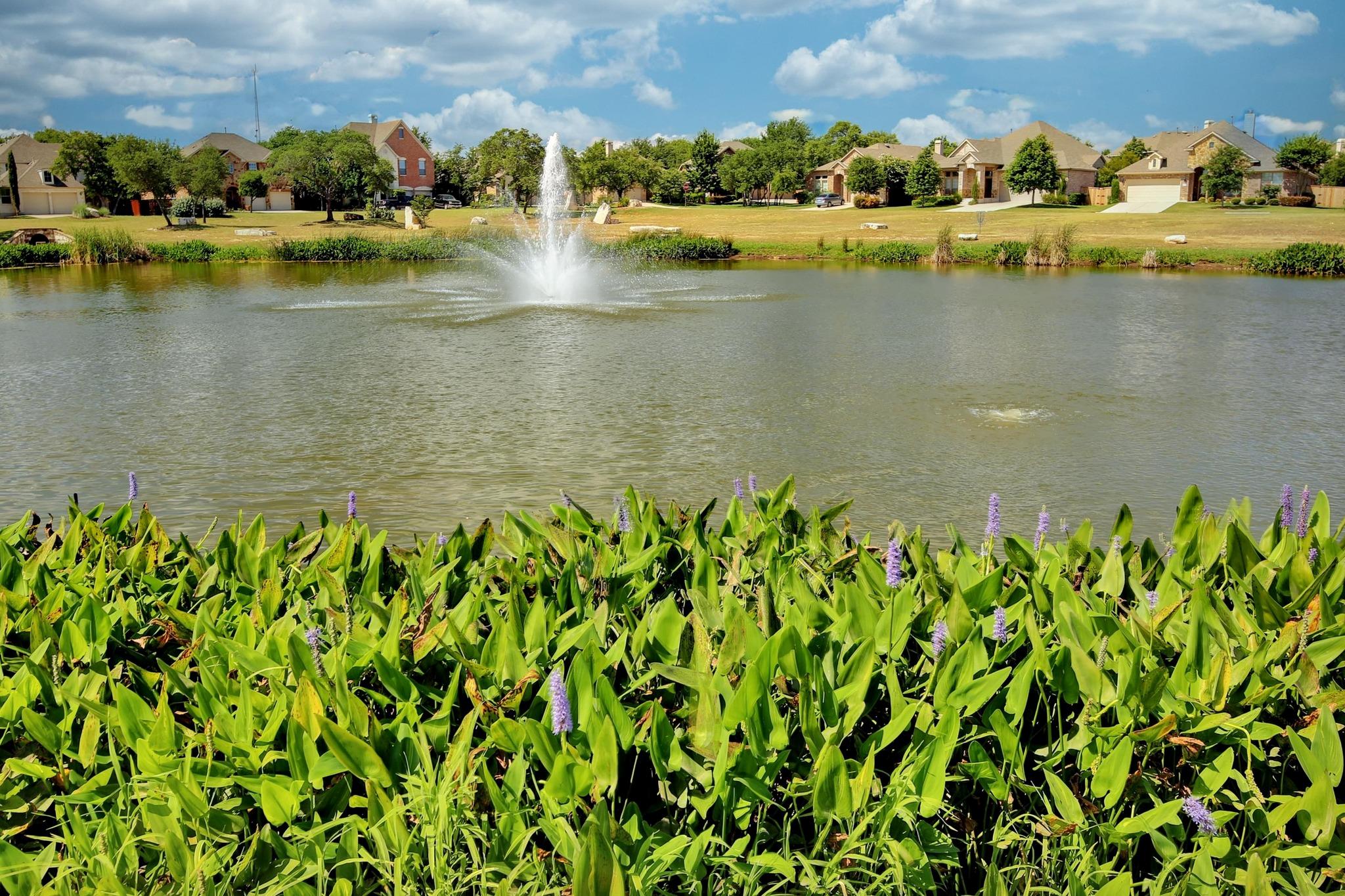 3500 Bachelor Gulch Leander TX 78641