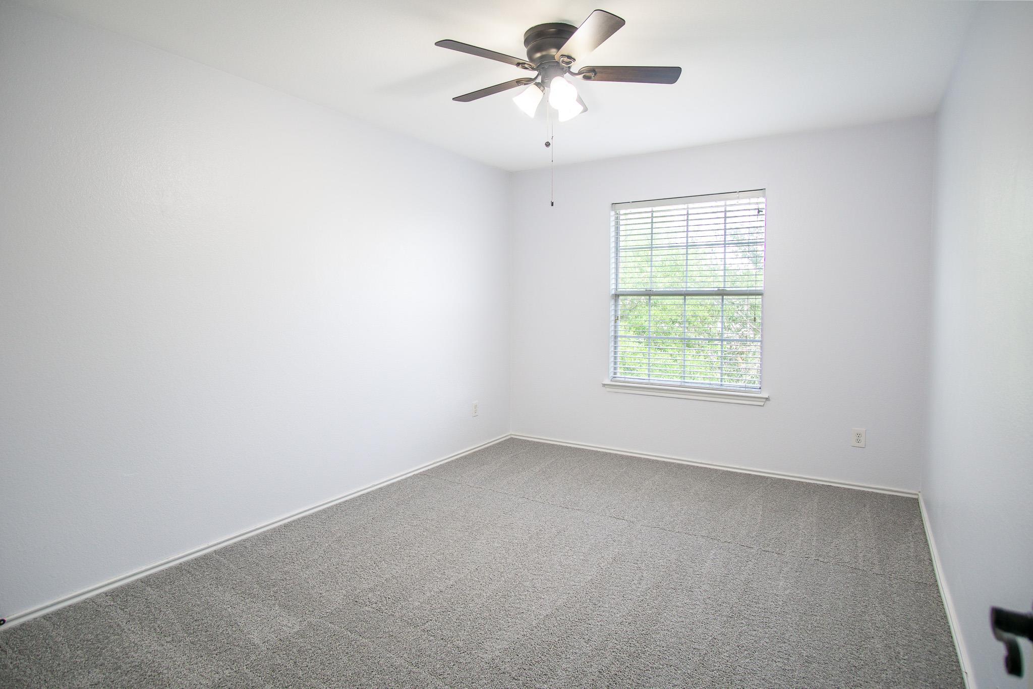 245 Peppergrass Cove Kyle TX 78640