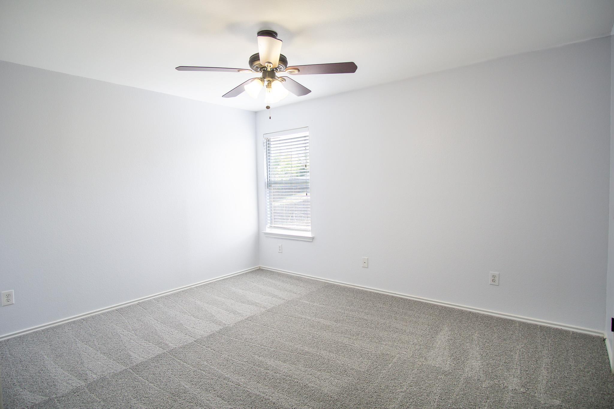 245 Peppergrass Cove Kyle TX 78640