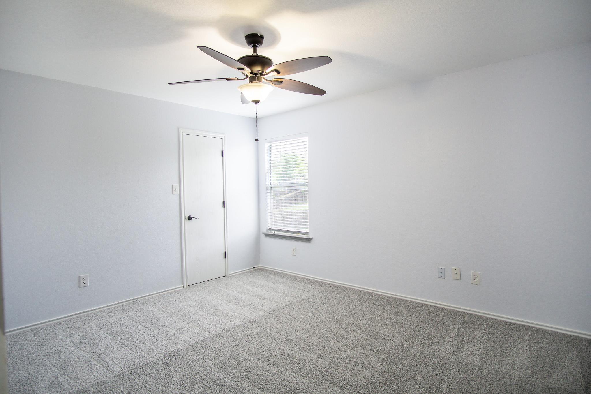 245 Peppergrass Cove Kyle TX 78640