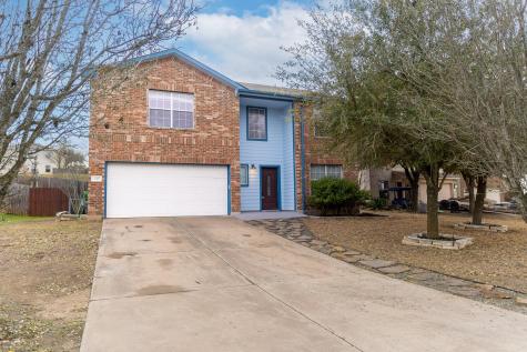 245 Peppergrass Cove Kyle TX 78640