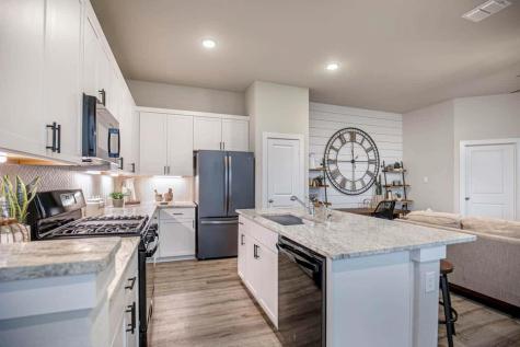 213 Flora Springs Cove Liberty Hill TX 78642