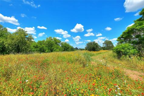 807 Colorado Drive Smithville TX 78957