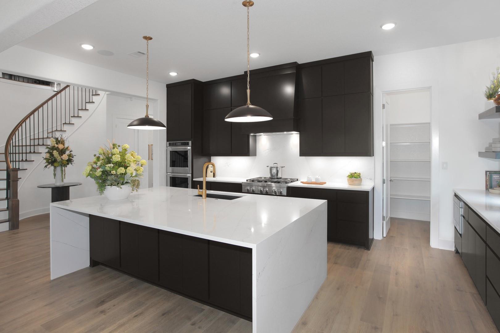 1804 Morning Mist Drive Georgetown TX 78628