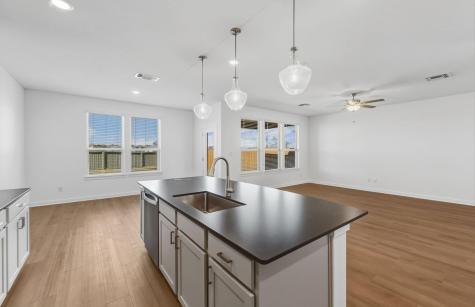 507 Eliese Cove Liberty Hill TX 78642