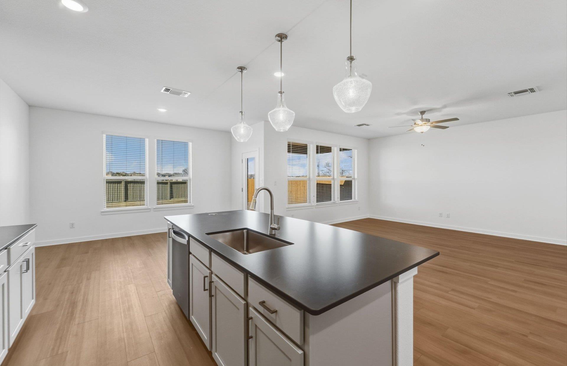 507 Eliese Cove Liberty Hill TX 78642