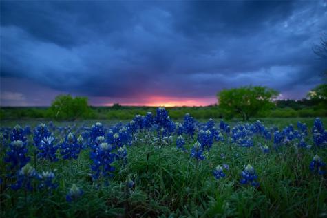 272 Slate Rock Road Willow City TX 78675