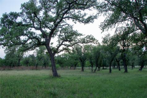 272 Slate Rock Road Willow City TX 78675