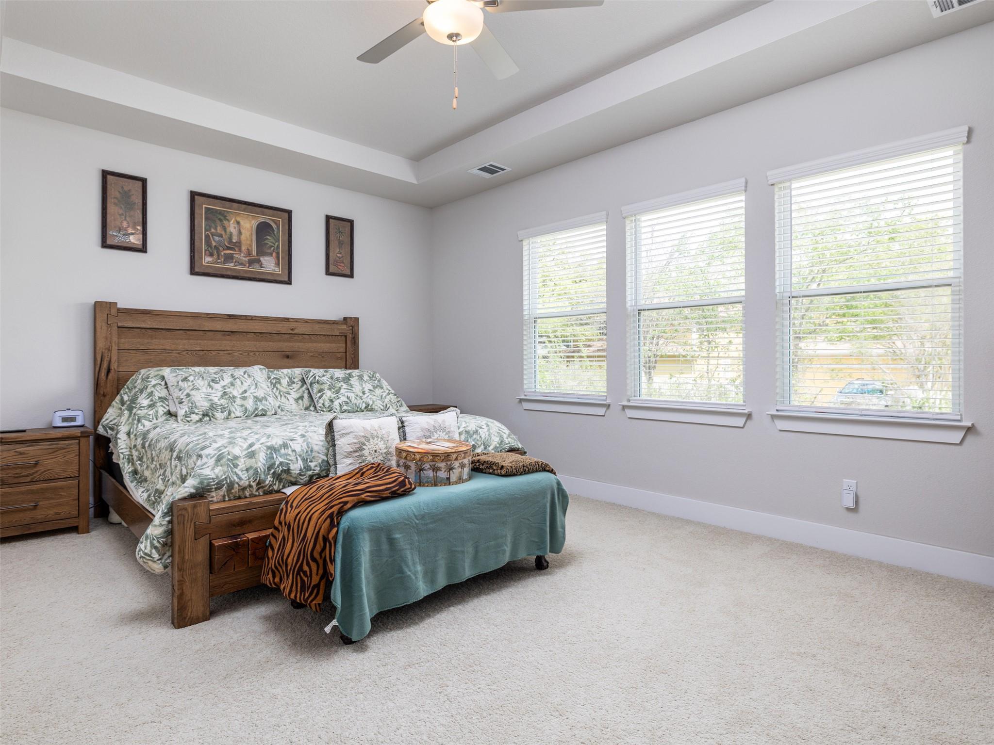 245 Brooks Ranch Drive Kyle TX 78640