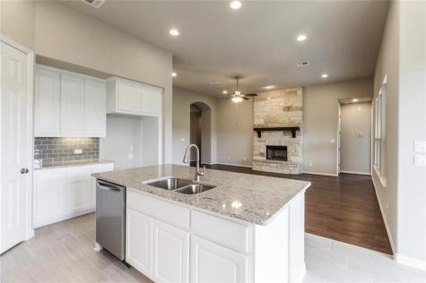 5117 Texas Bluebell Drive Spicewood TX 78669