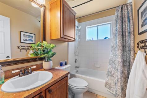 1021 Canna Lily Circle Driftwood TX 78619