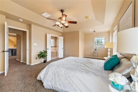 1021 Canna Lily Circle Driftwood TX 78619