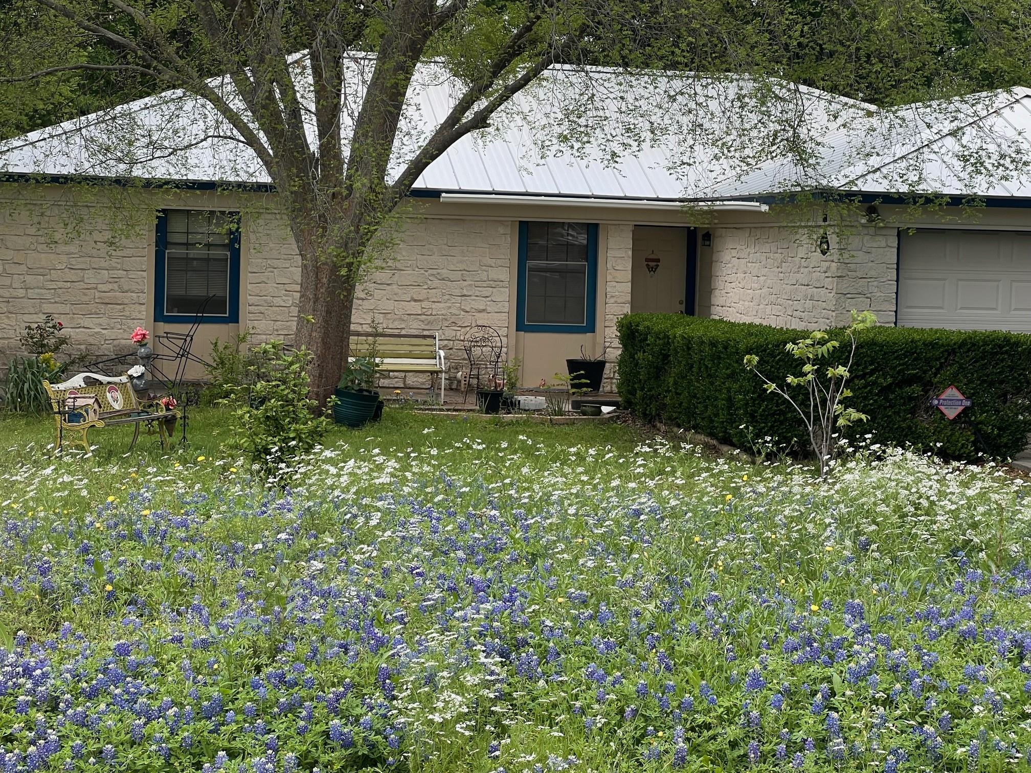 217 Green Pasture Drive Hutto TX 78634