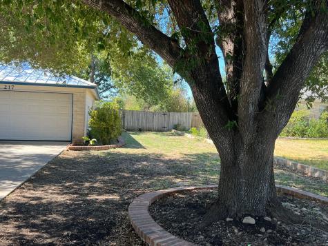 217 Green Pasture Drive Hutto TX 78634