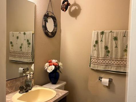 217 Green Pasture Drive Hutto TX 78634