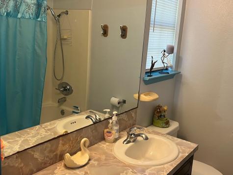 217 Green Pasture Drive Hutto TX 78634