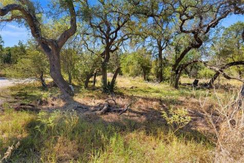 20204 Barnett Glenn Road Spicewood TX 78669