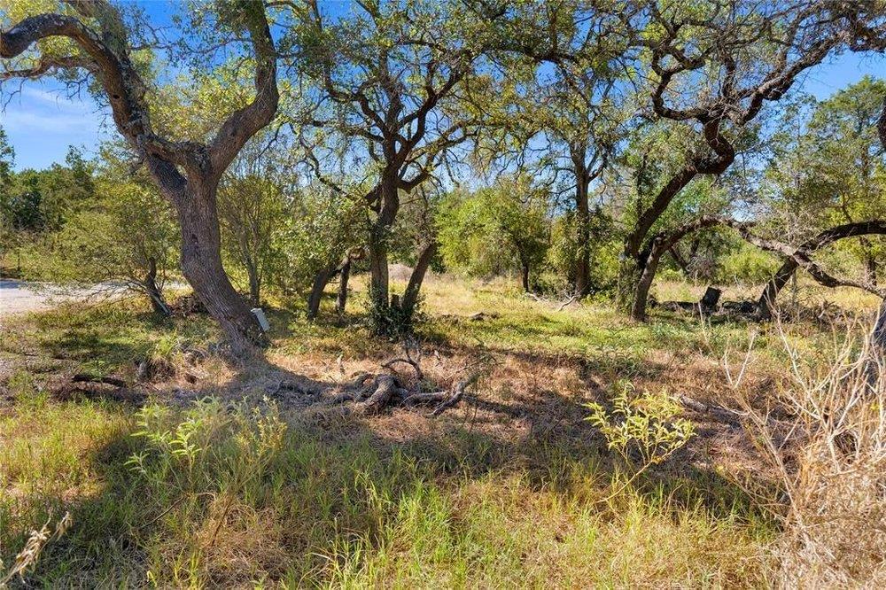 20204 Barnett Glenn Road Spicewood TX 78669