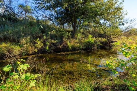 5862 Ranch Road 965 Llano TX 78643