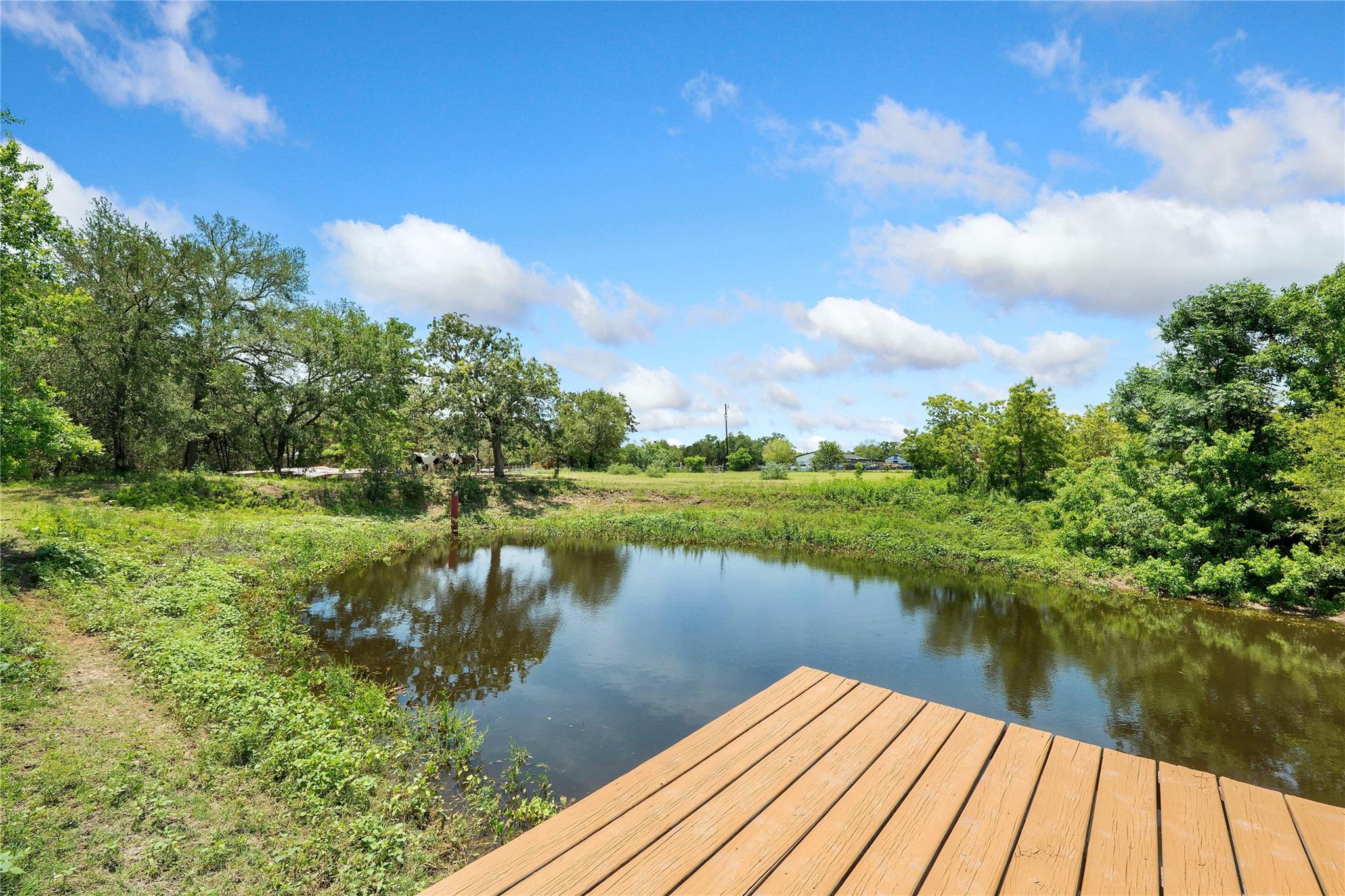 372 Hidden Oaks Drive Elgin TX 78621