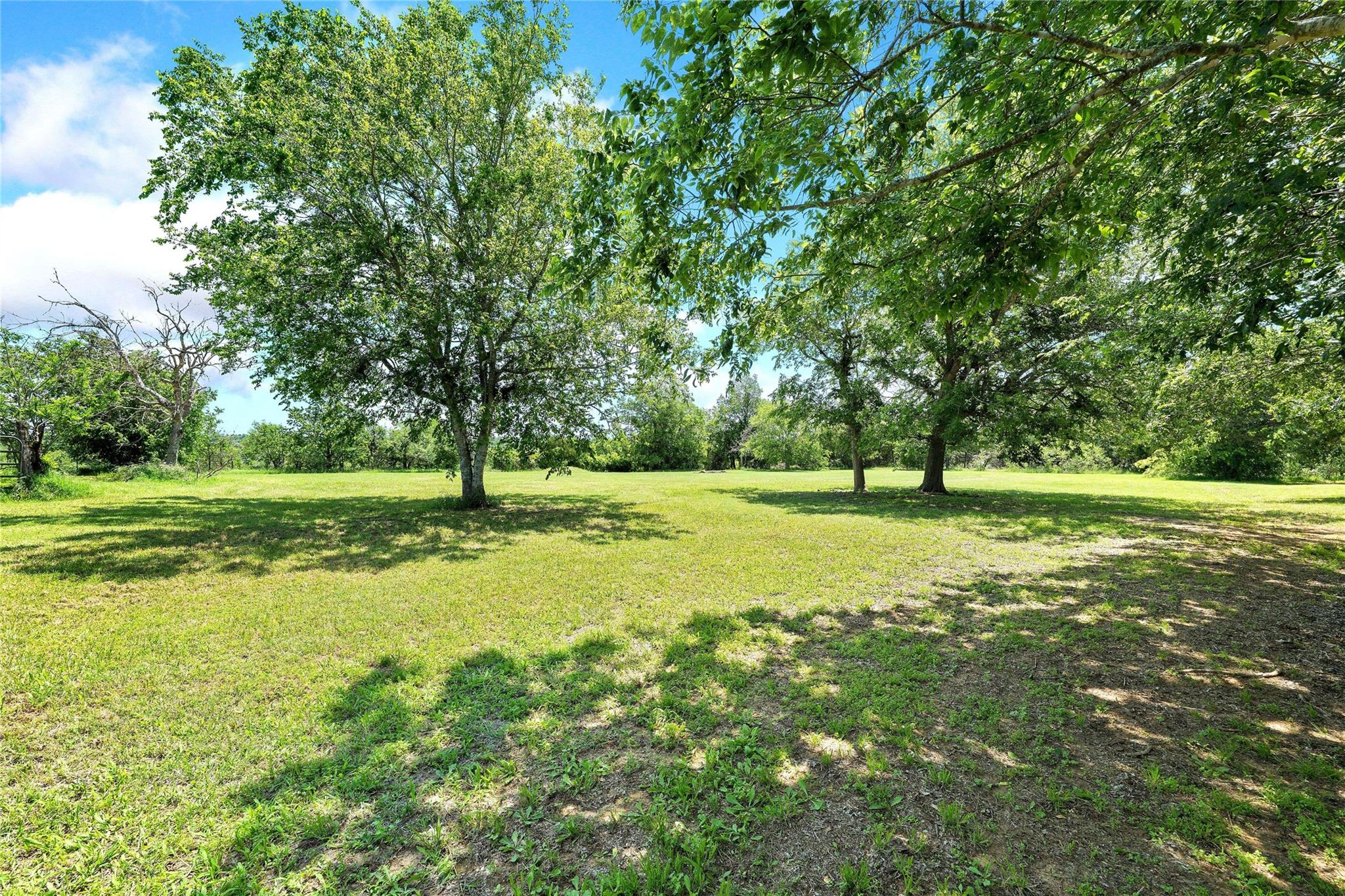 372 Hidden Oaks Drive Elgin TX 78621