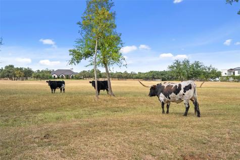 2700 County Road 282 Road Leander TX 78641