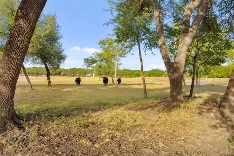 2700 County Road 282 Road Leander TX 78641