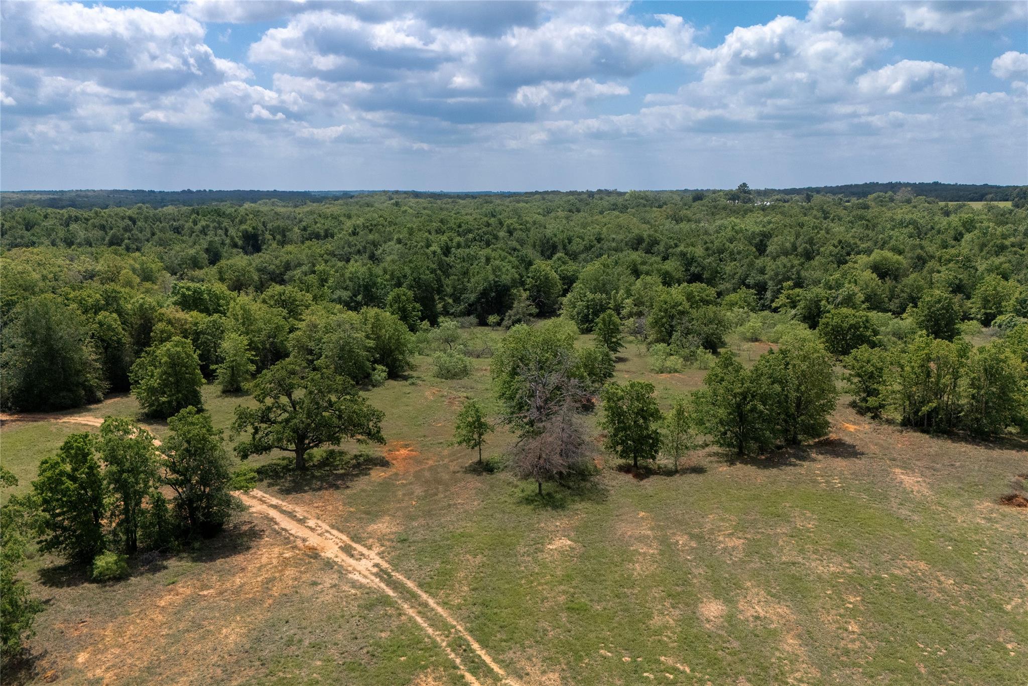 3011 County Road 314 Rockdale TX 76567