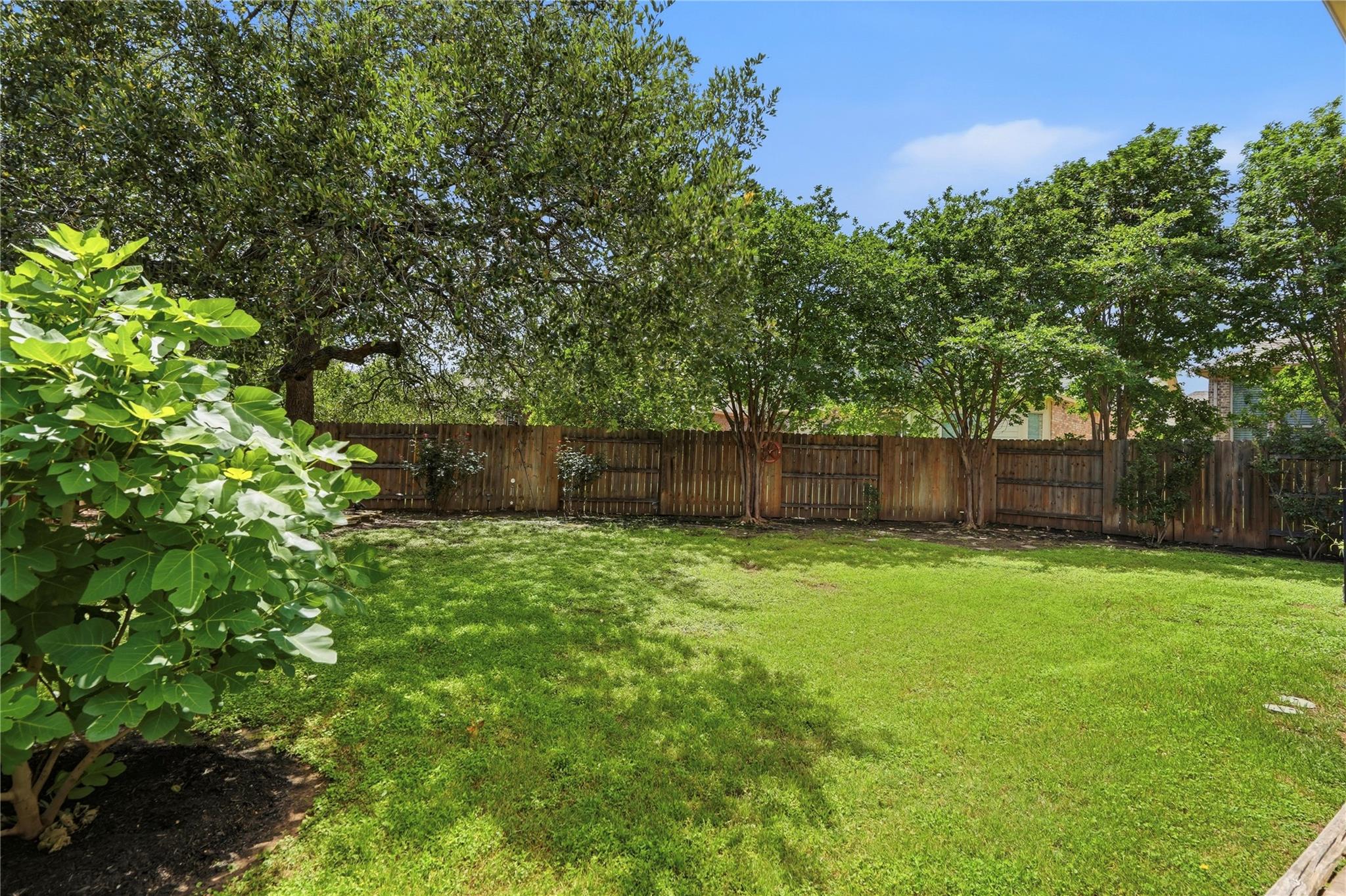 3928 Cole Valley Lane Round Rock TX 78681