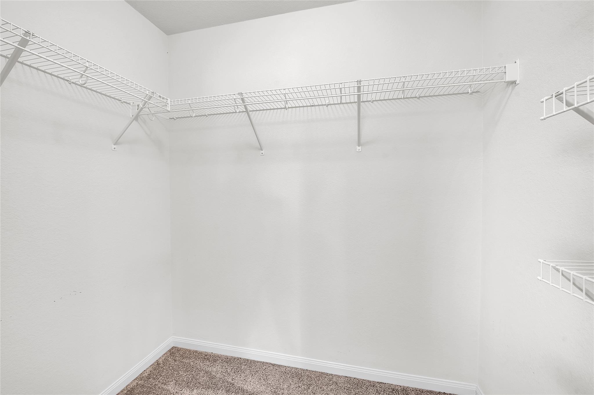 1181 Violet Lane Kyle TX 78640