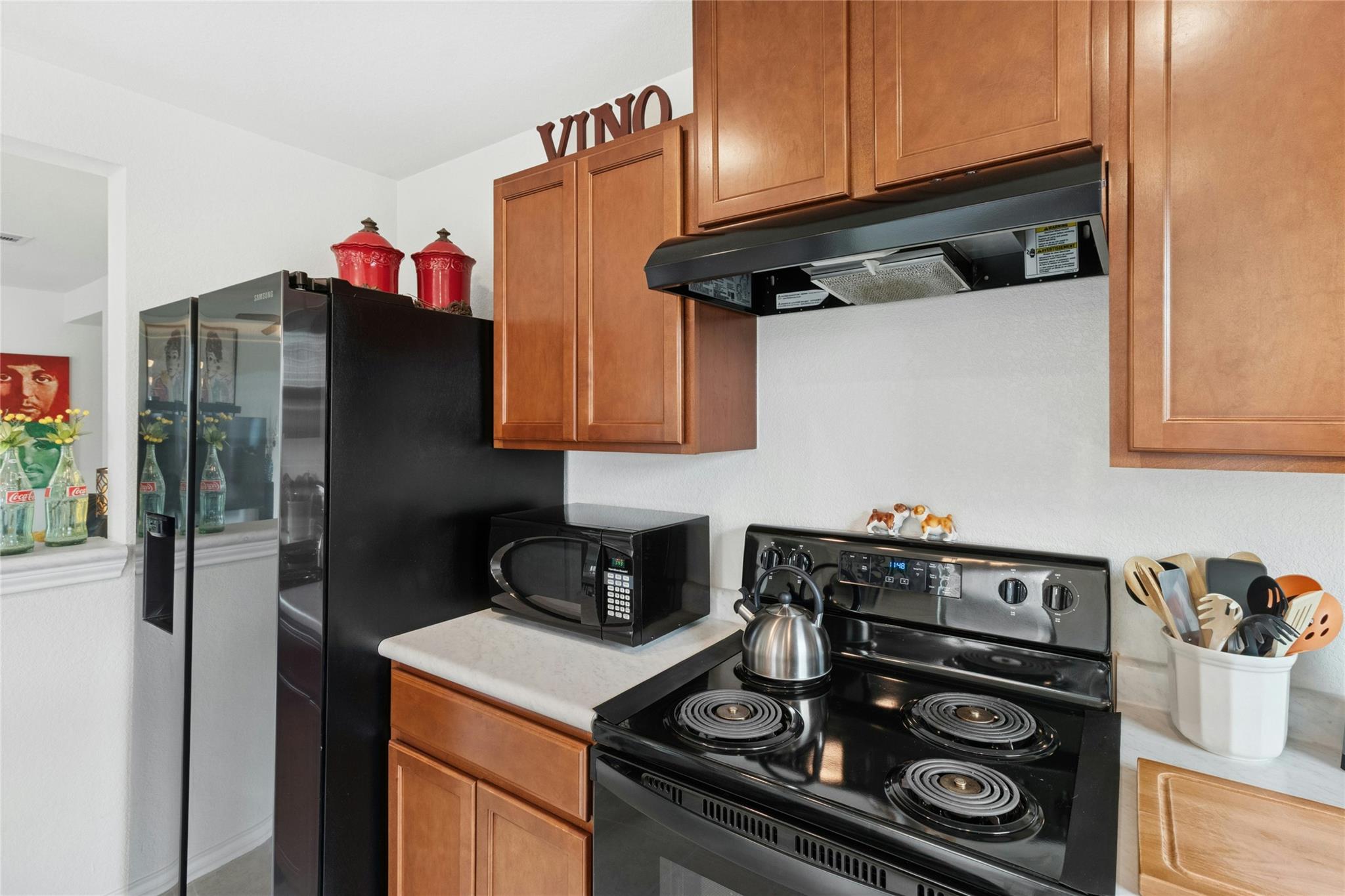 117 Schuylerville Drive Elgin TX 78621