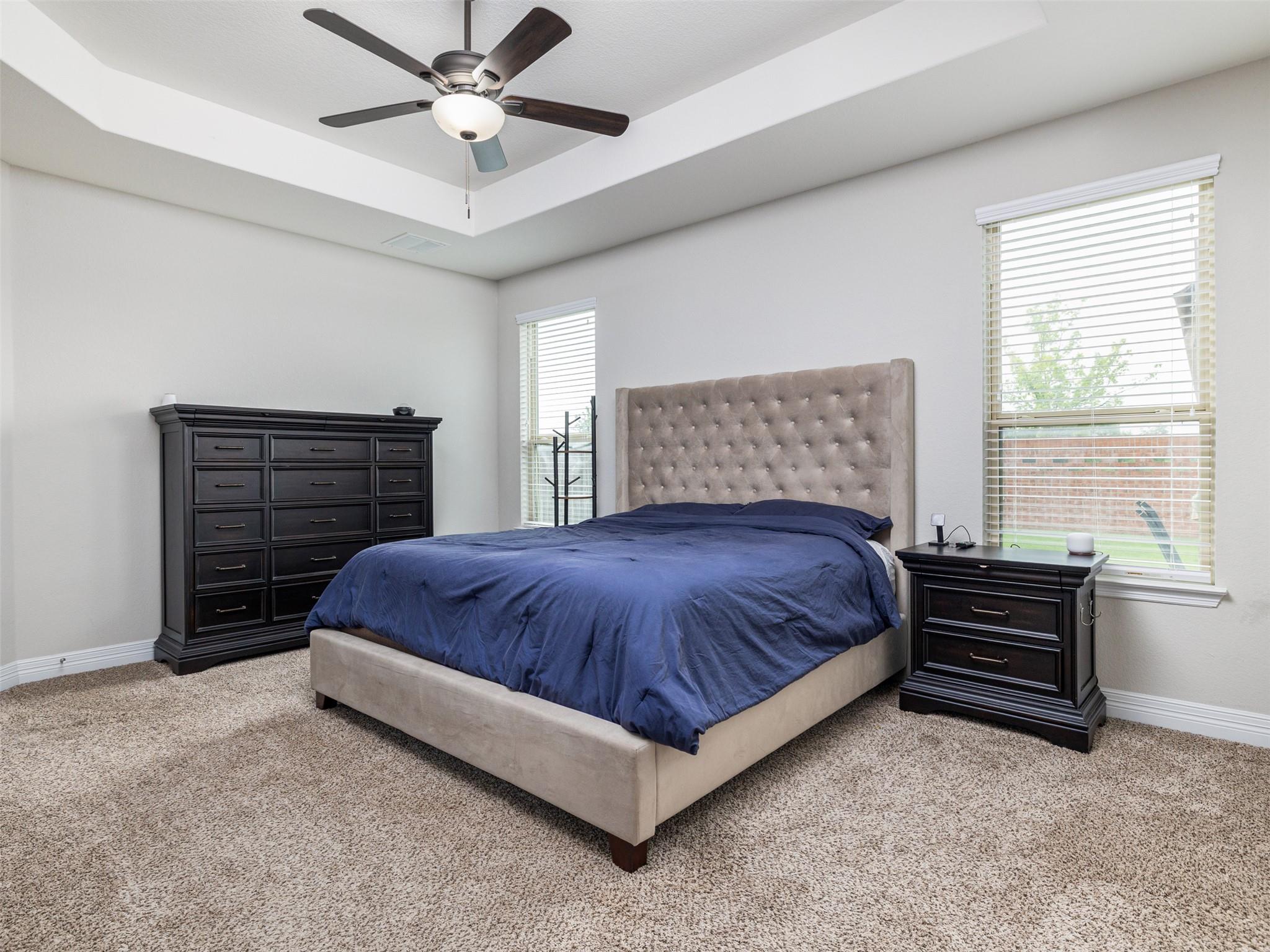 717 Blue Agave Lane Georgetown TX 78626