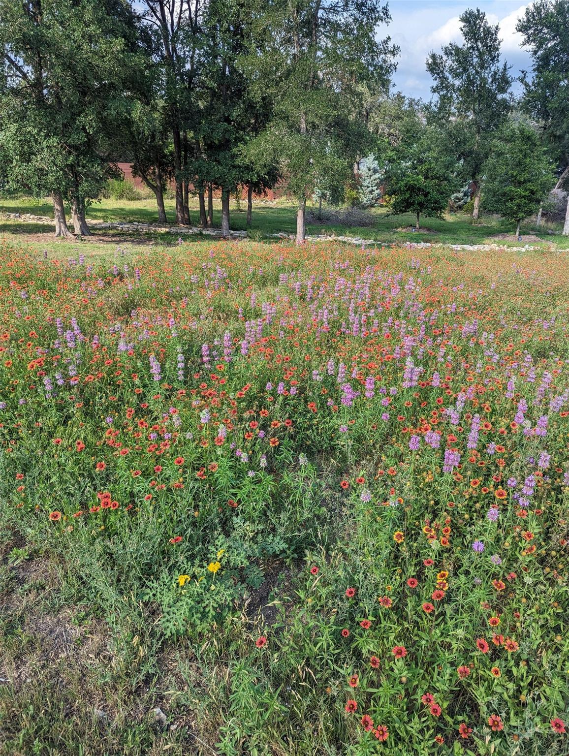 9720 Anchusa Trail Austin TX 78736