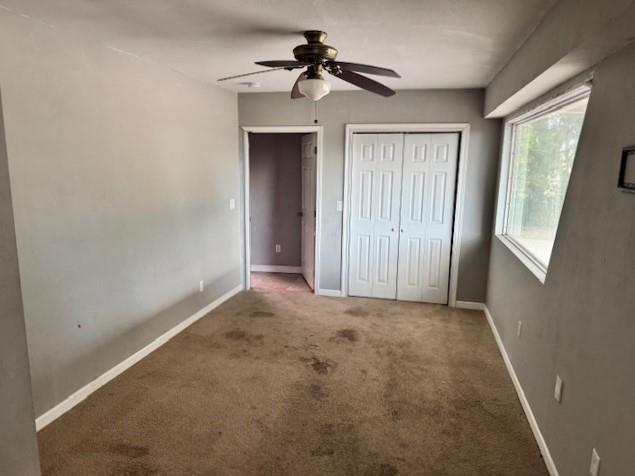 6005 Covers Cove New Braunfels TX 78132