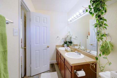 3613 Bach Drive Pflugerville TX 78660