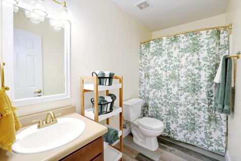 3613 Bach Drive Pflugerville TX 78660