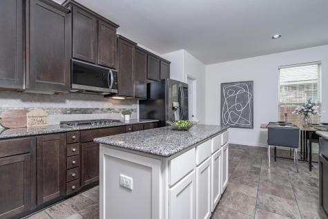 2733 Diego Drive Round Rock TX 78665
