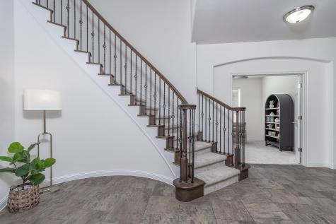 2733 Diego Drive Round Rock TX 78665