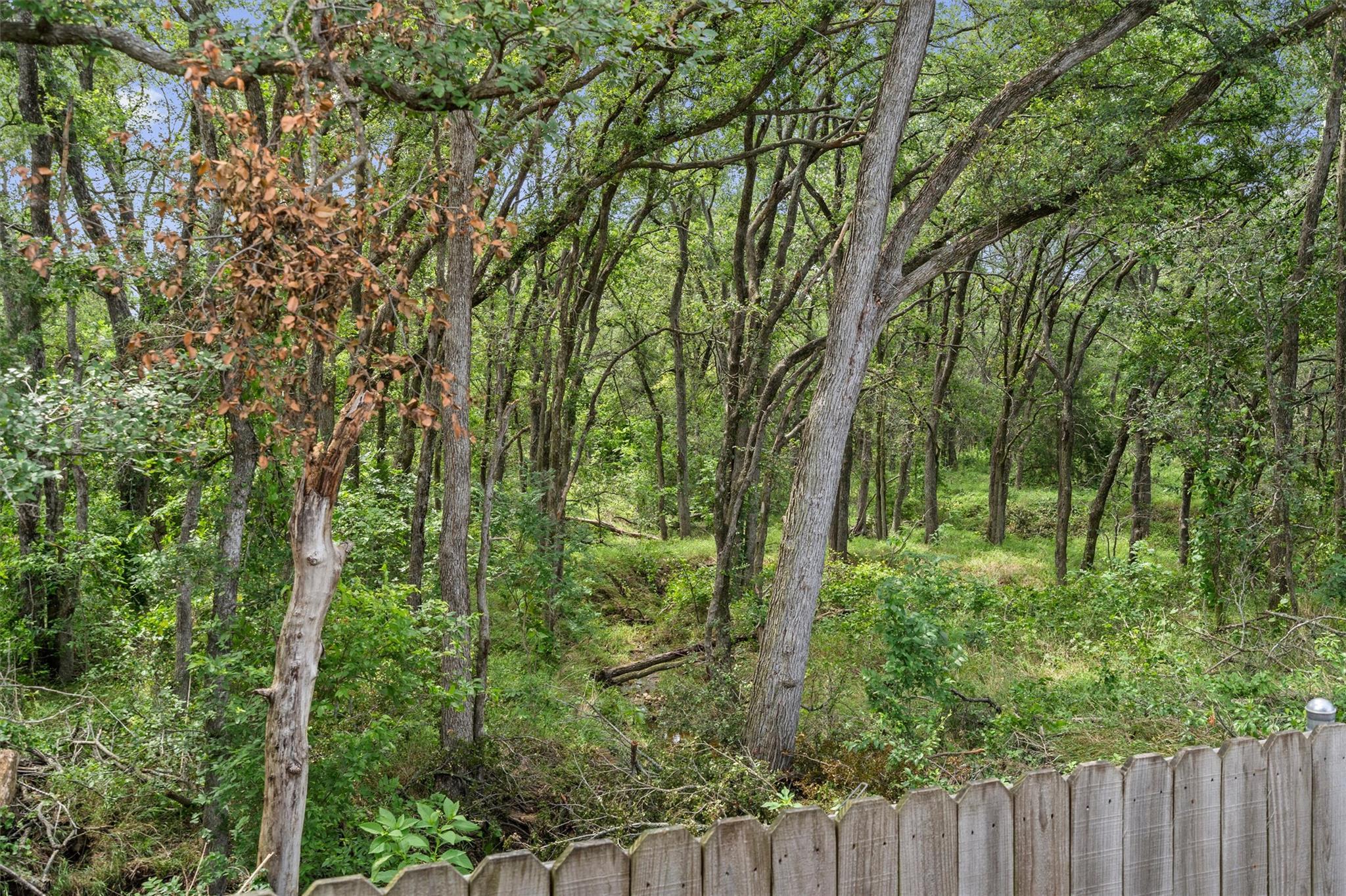 207 Antietam Drive Elgin TX 78621