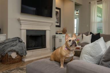 2100 Highland Ridge Road Georgetown TX 78628
