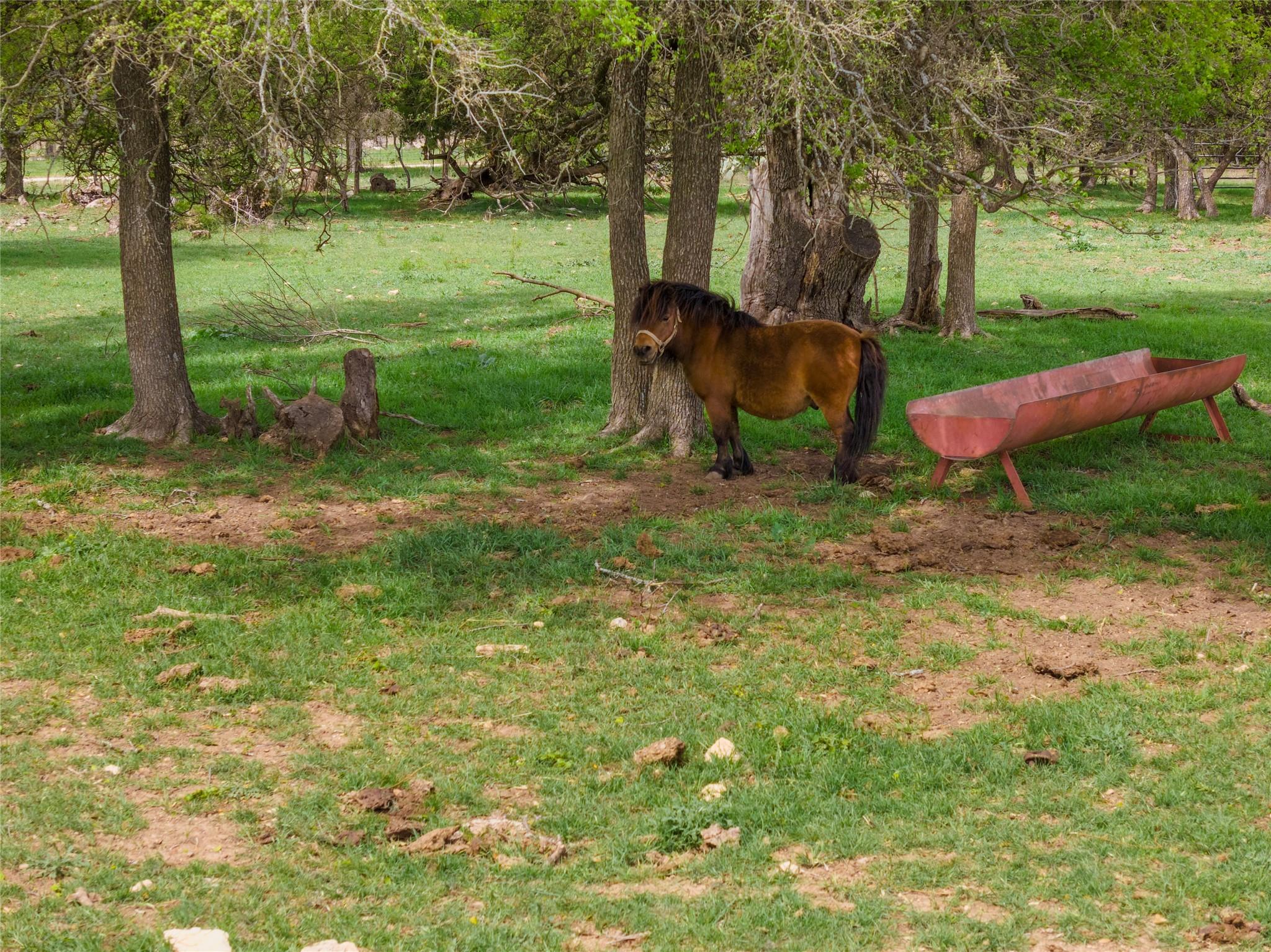 6200 Solana Ranch Road Salado TX 76571