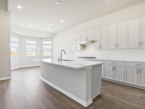 175 Pendleton Drive Kyle TX 78640
