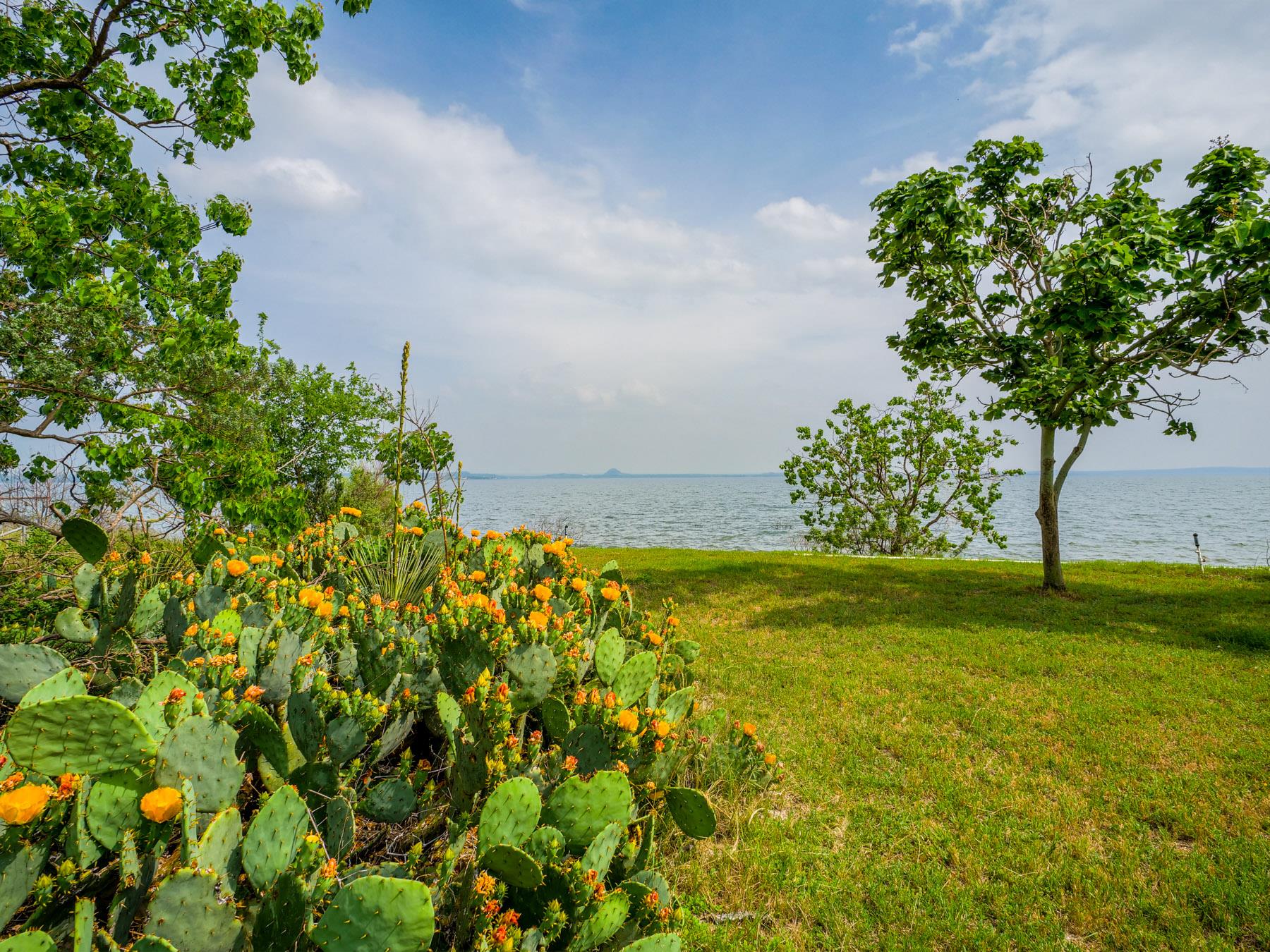 736 W Lakecrest Drive Bluffton TX 78607
