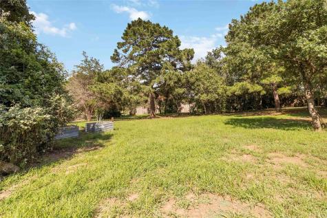 208 Old Potato Road Paige TX 78659