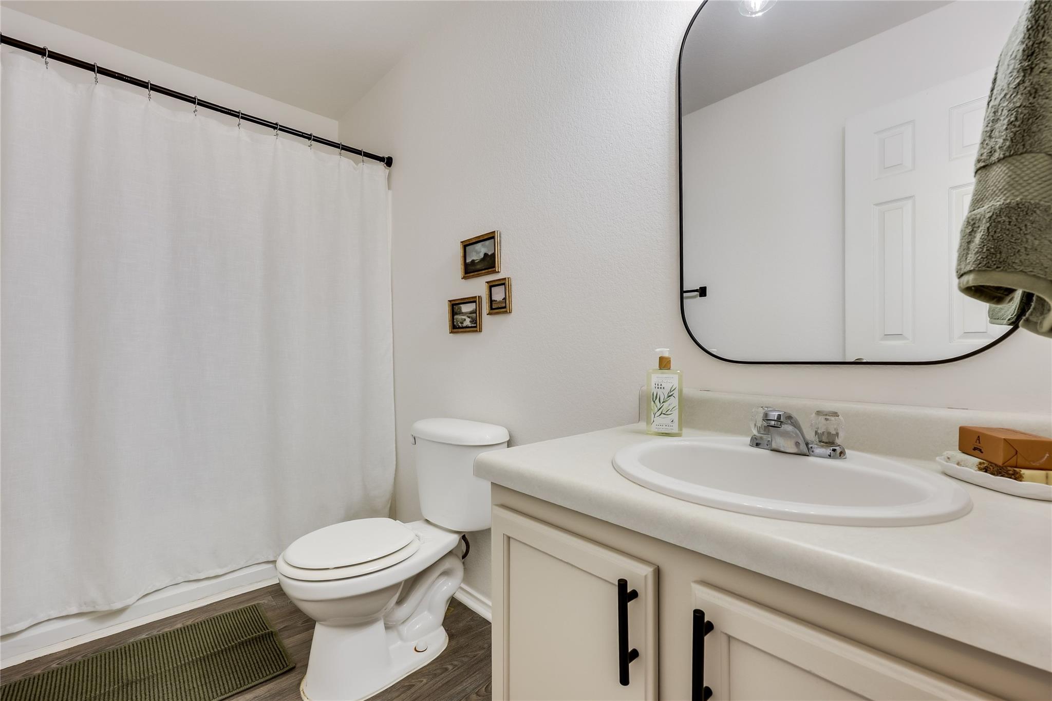 11321 Autumn Ash Drive Manchaca TX 78652